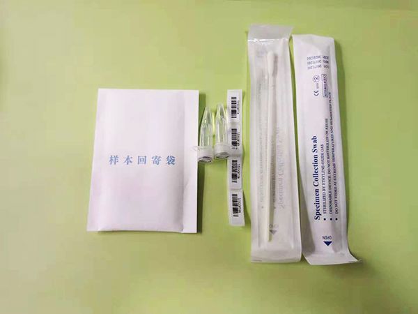 DNA样本采集盒